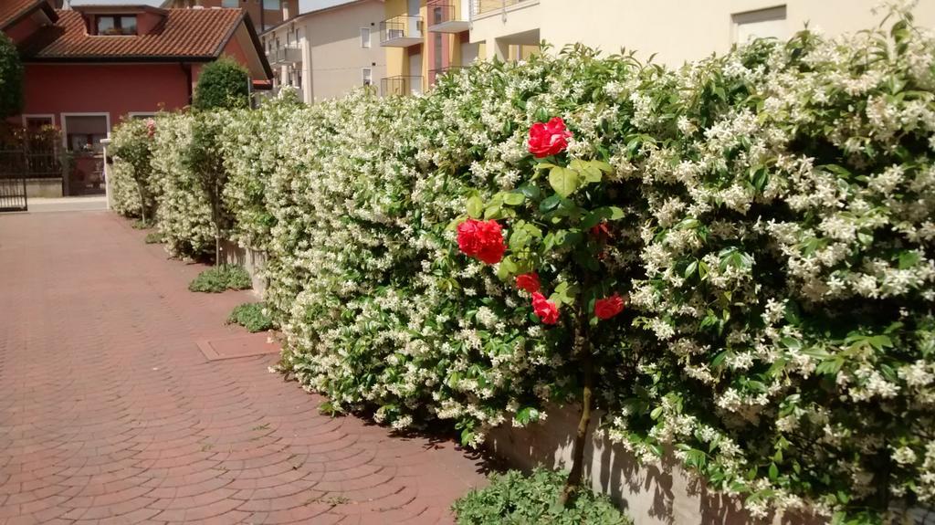 Appartamenti Bedin, Jesolo Exterior foto